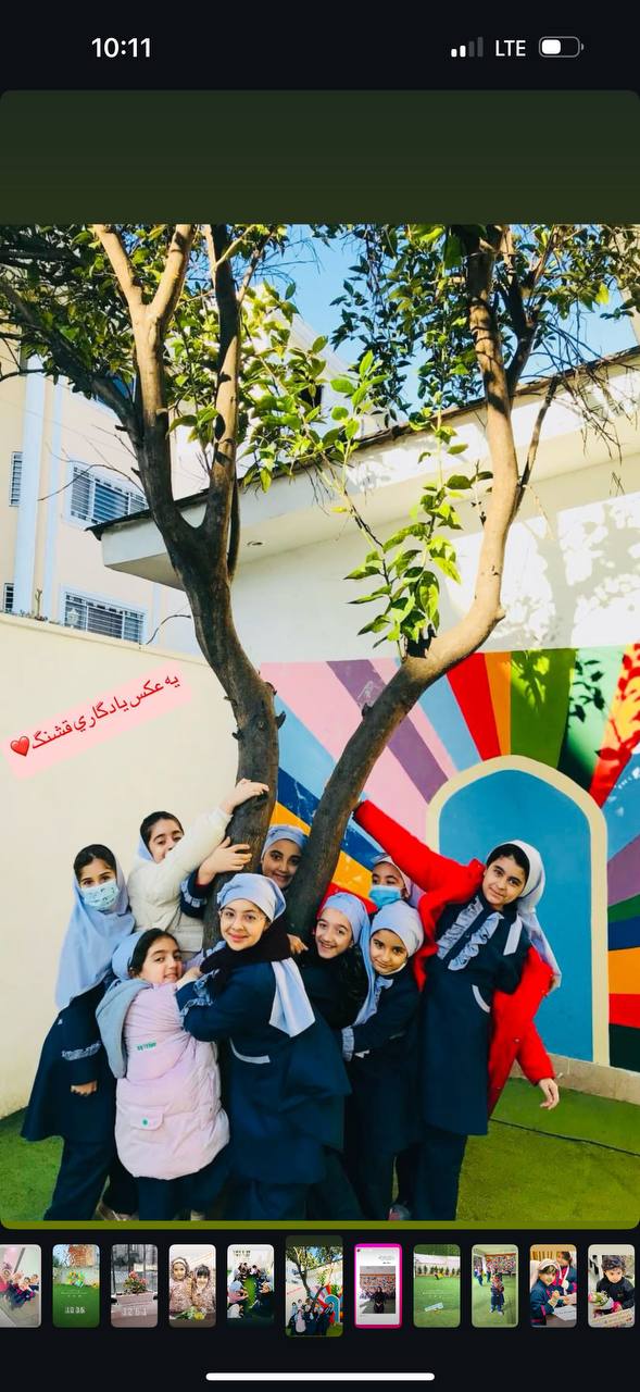 آموزش تخصصی و مهارت‌محور